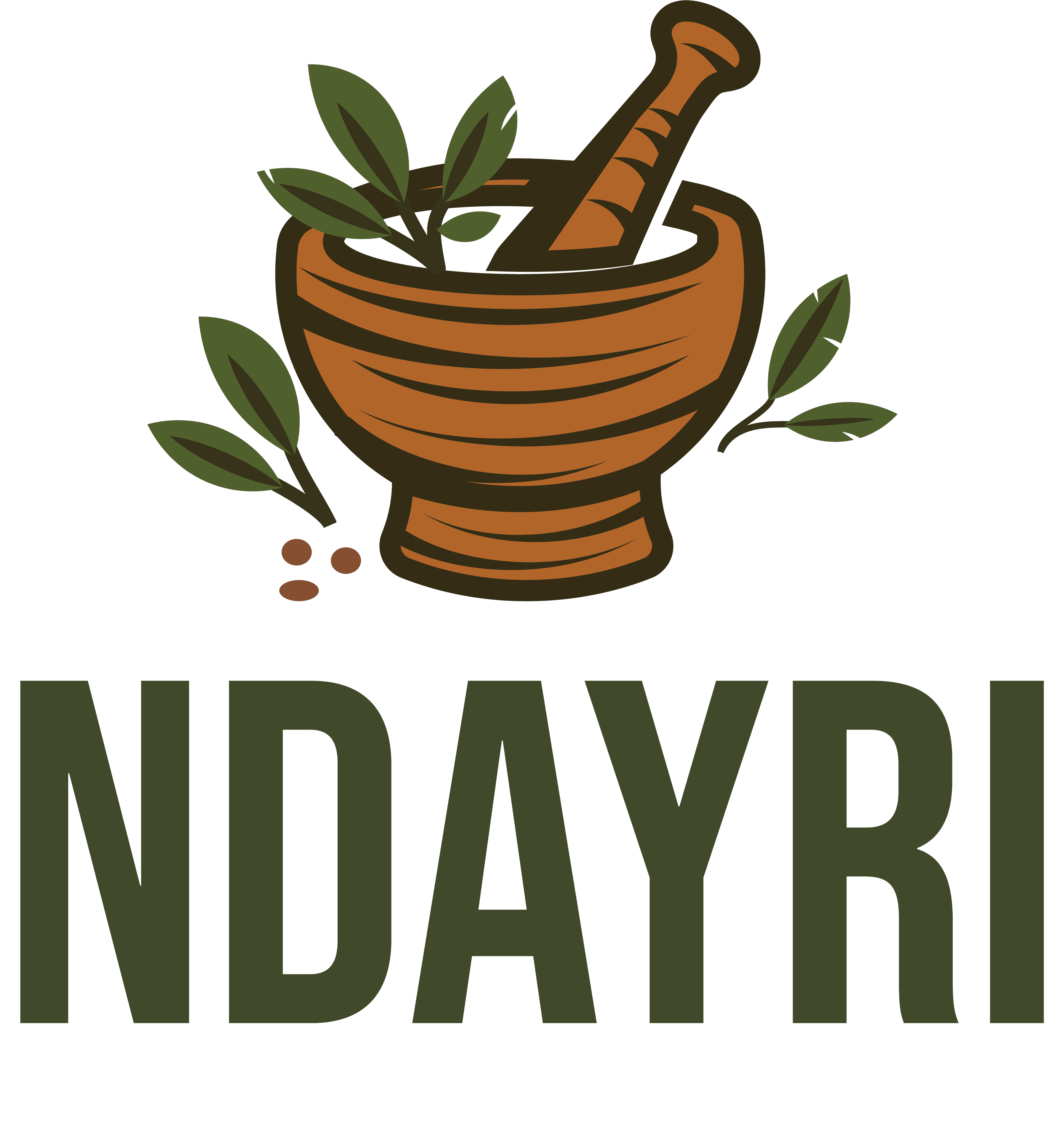 NDAYRI logo